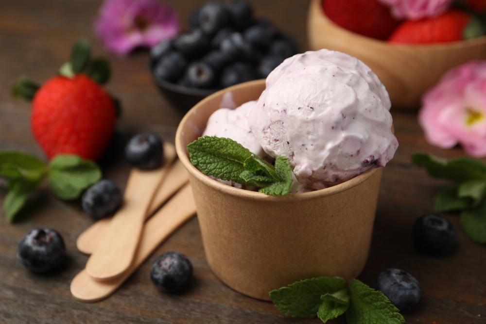 Es Krim Yogurt - SQUEEZE